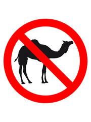 schild hinweis verboten kamel silhouette umriss schwarz dromedar höcker wüste zoo