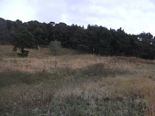 Obraz premium mountains, highlands, alpine meadows, autumn in the mountains, rocks, nature, landscape,