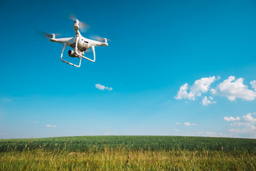 drone quad copter on green corn field