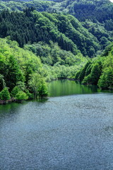 新緑の虹の湖