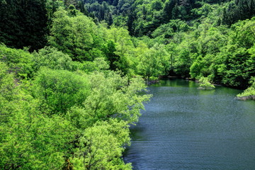 Fototapeta na wymiar 新緑の虹の湖