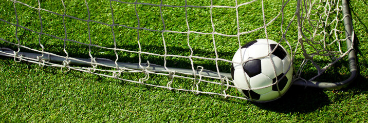 Ball im Netz