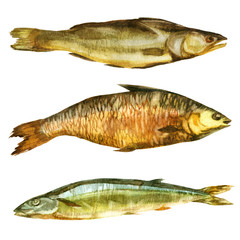 Watercolor illustration. Smoked dried fish of different types.
