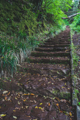 Wandern auf Madeira - Levadawanderung