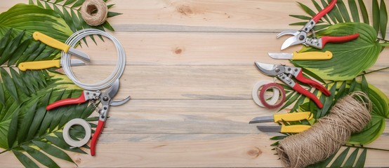 The garden tools on the wood background with palms leaves, the top view