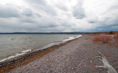 Bank of Yellowstone Lake in Yellowstone National Park in Wyoming United States