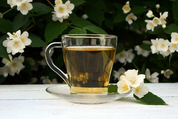 Morning сup of fragrant tea with jasmine flowers in the garden next to the flowering jasmine bush.