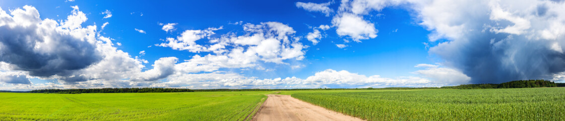panoramic view of agricultural fields with wheat and rye © yanikap