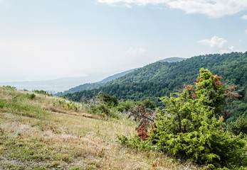 Fototapeta na wymiar Panorama Mount Olympus, Greece
