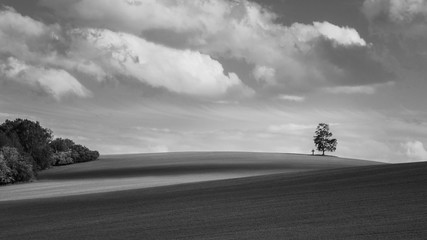 Black and white landscape with alone birch on the horizon. Betula. Scenic melancholy background. Solitary tree and christian cross in undulating field. Dramatic cloudy sky. South Bohemia, Europe.
