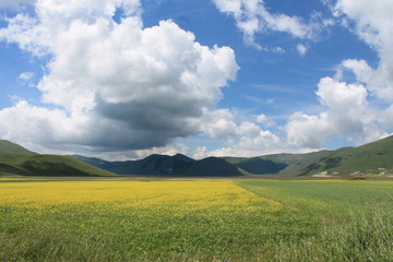 Fototapeta premium i colori di castelluccio di norcia durante la fioritura