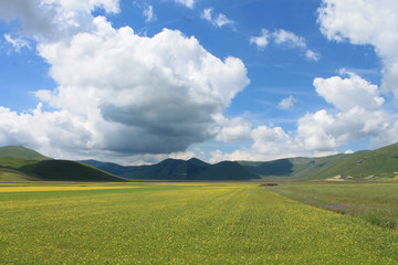 i colori di castelluccio di norcia durante la fioritura