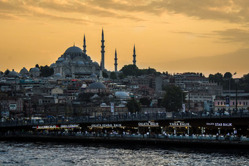 Naklejka premium Mosque / Süleymaniye / İstanbul