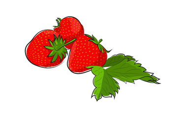vector simple drawing of ripe red strawberry berries with leaves