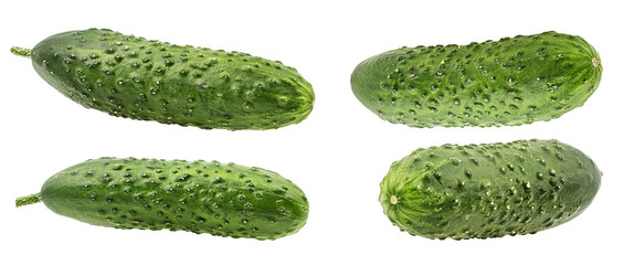 Fresh cucumber isolated on white background with clipping path