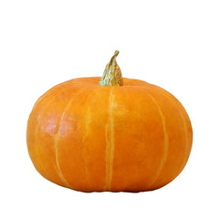 pumpkin isolted on white background