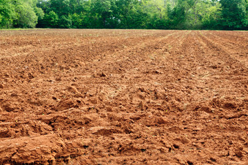 Red colored soil in Alabama