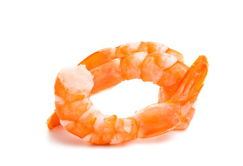 shrimp isolated