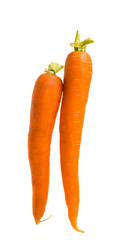 carrots isolated