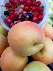 currants and apricots