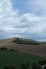 Naklejka premium Italy,countryside,hill,landscape,view,cloud,panorama,field,sky