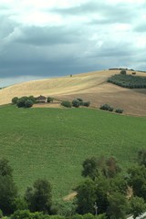 Fototapeta na wymiar center of Italy,hill,landscape,view,crops,agriculture,countryside,cloud,green,gray,cereals