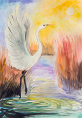 Morning on the lake. The white Heron raised its wings against the background of the rising sun. - 209610488