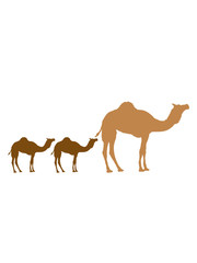geschwister mama papa familie nachwuchs junge babys kinder 2 höcker kamel silhouette umriss schwarz dromedar höcker wüste zoo