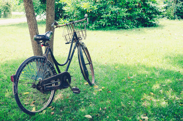Fototapeta premium Vintage bicycle waiting near tree