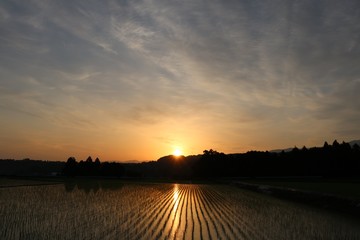 Obraz premium 夜明けの田園風景/富山の田舎の夜明けの田園風景