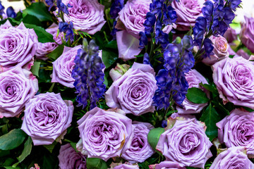 Strauss mit blau rosa Rosen