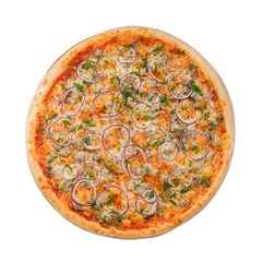 Pizza with onions and greens on a white background - 209613200