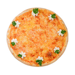 Pizza cheese on a white background