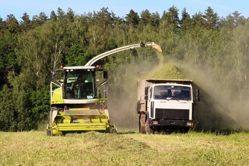 Agriculture, harvesting, rural summer landscape – new yellow-white harvester cutting the silage...