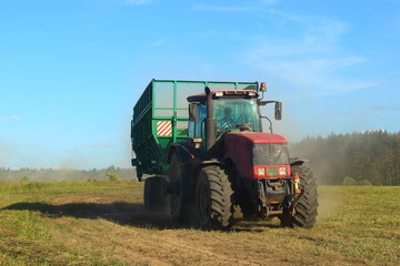 Agriculture, harvesting, rural landscape – red tractor with green trailer rides on the edge of the field for loading in summer afternoon on the background of green forest and clear blue sky