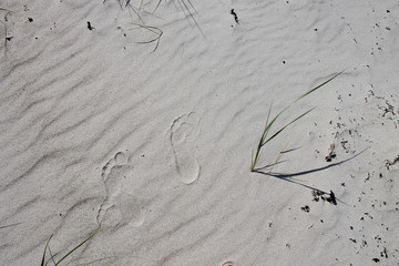 Spuren im Sand