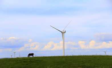 Fototapeta na wymiar The windmill, on the clear prairie