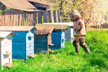 The beekeeper works in the apiary near the hive.