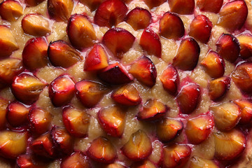 Delicious pie with plums, closeup