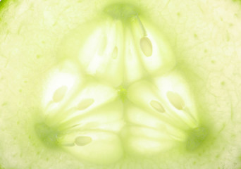 Slice of ripe cucumber as background, closeup