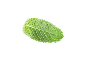 Fresh green mint leaf on white background