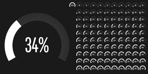 Fototapeta na wymiar Set of circular sector percentage diagrams from 0 to 100 ready-to-use for web design, user interface (UI) or infographic - indicator with white
