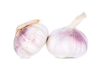 garlic on white background
