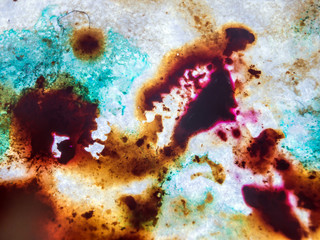 Fototapeta na wymiar chemical experiment with paints