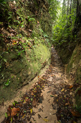 Penang National Park