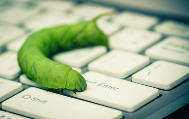 Computer security breach due to worm attack