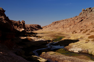 Fototapeta na wymiar Regiao do Geisers Atacama