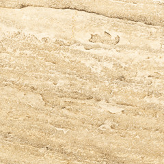 Brown sandstone texture and seamless background