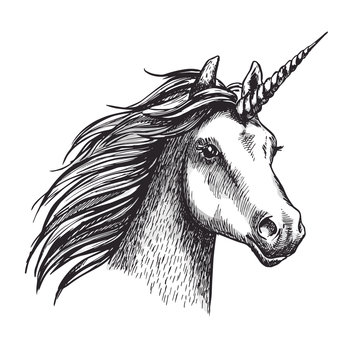 Unicorn vector sketch mystic magic horse