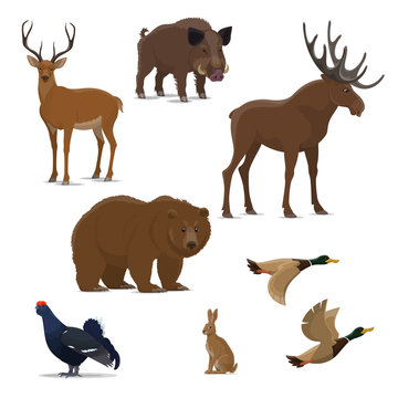 Wild forest animal and bird icon of hunting sport